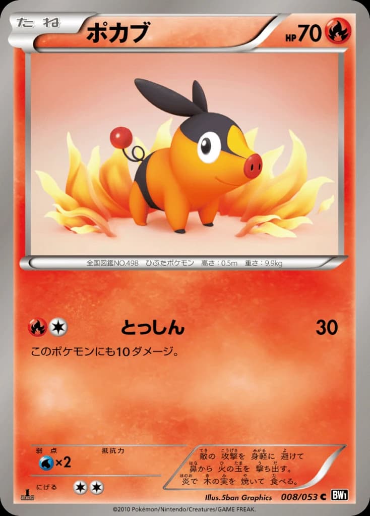 Tepig (8)