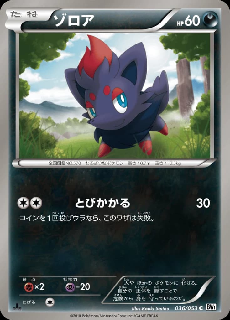 Zorua (36)