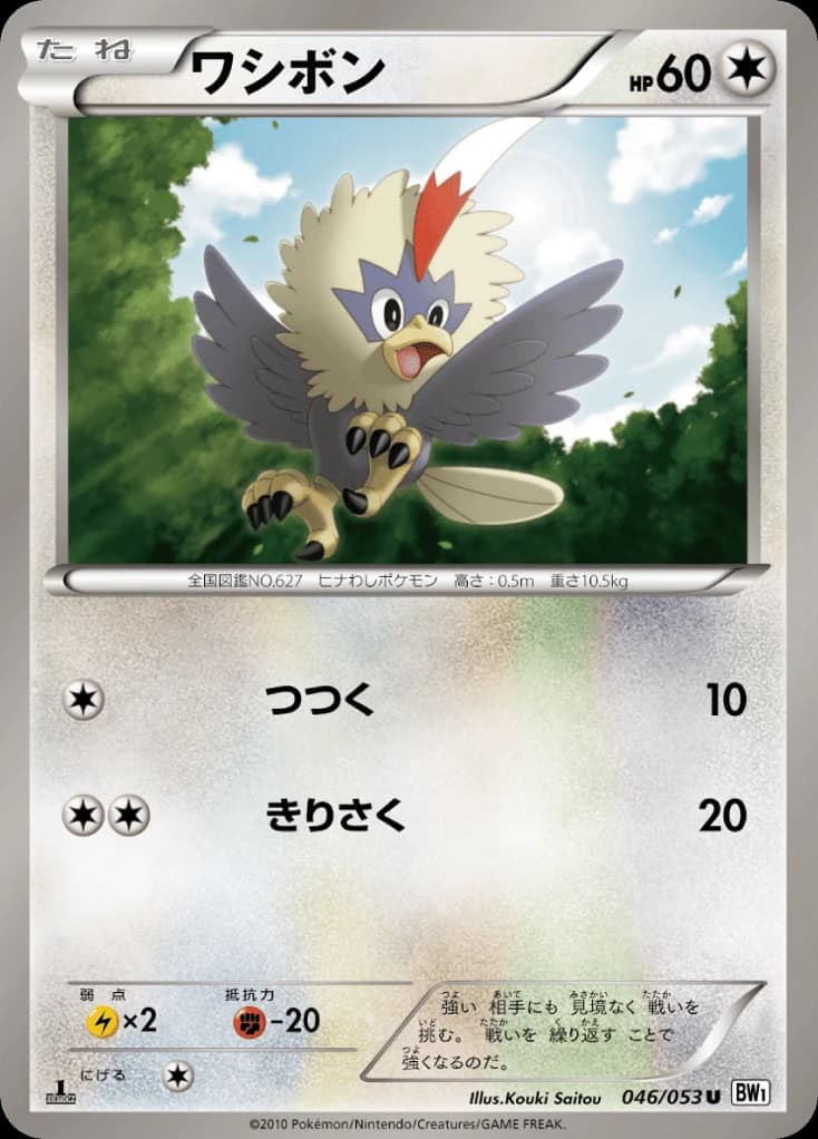 Rufflet (46)