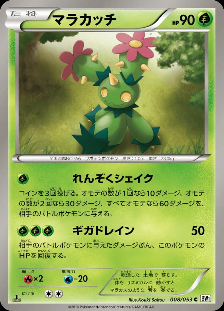 Maractus (8)