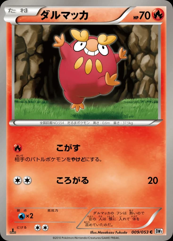 Darumaka (9)