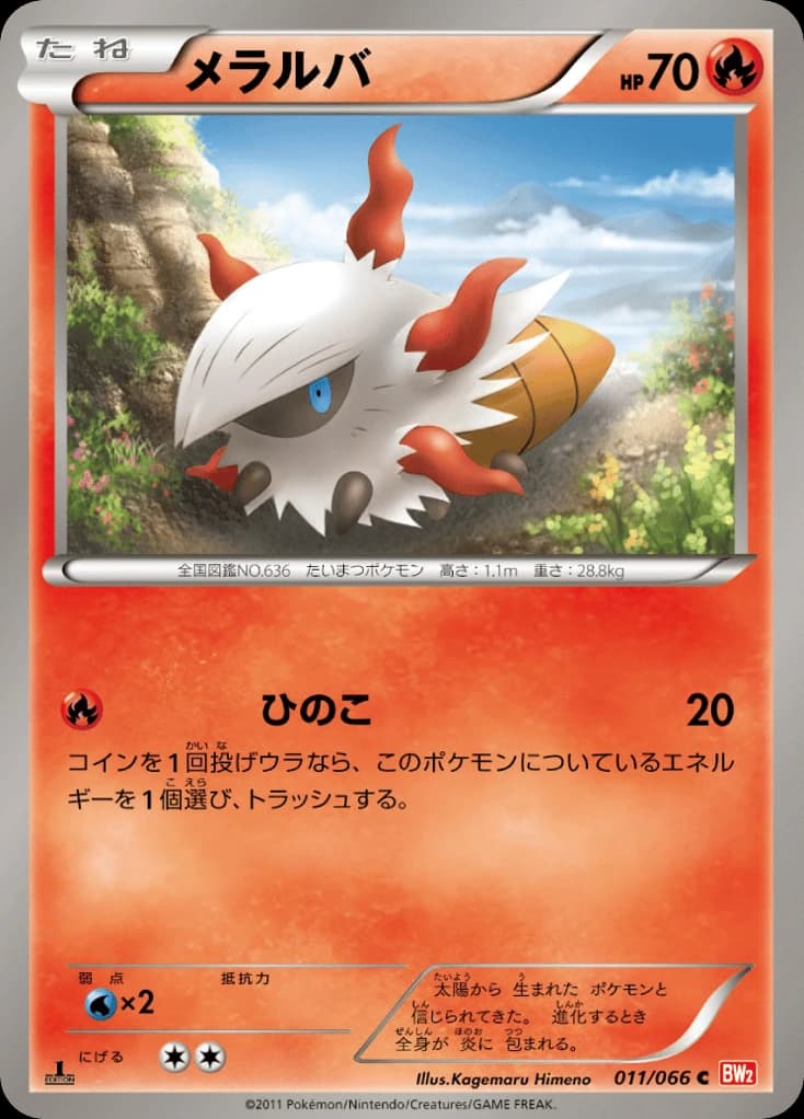 Larvesta (11)