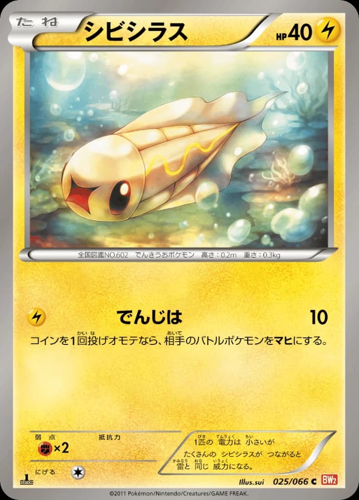 Tynamo (25)