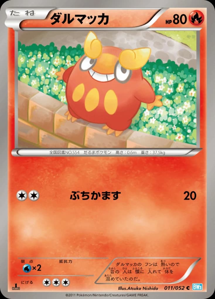 Darumaka (11)
