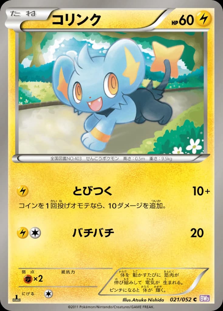 Shinx (21)