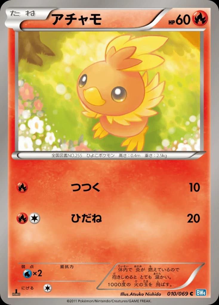 Torchic (10)