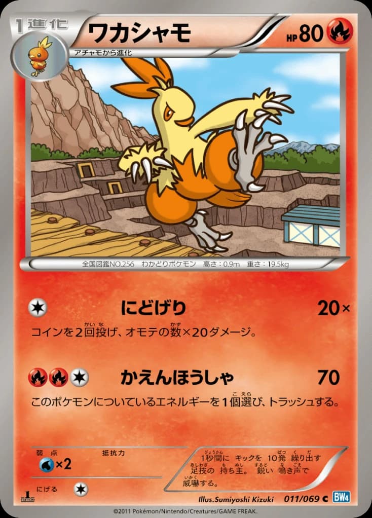 Combusken (11)