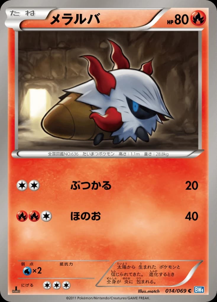 Larvesta (14)