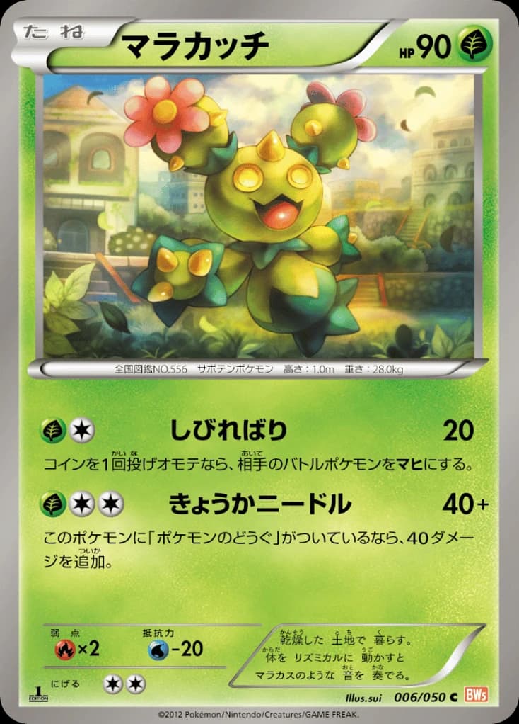 Maractus (6)