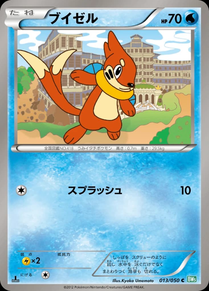 Buizel (13)