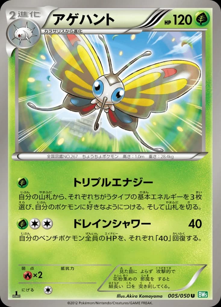 Beautifly (5)