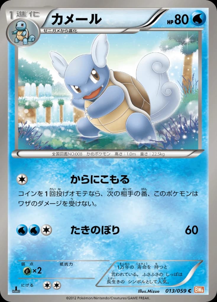 Wartortle (13)