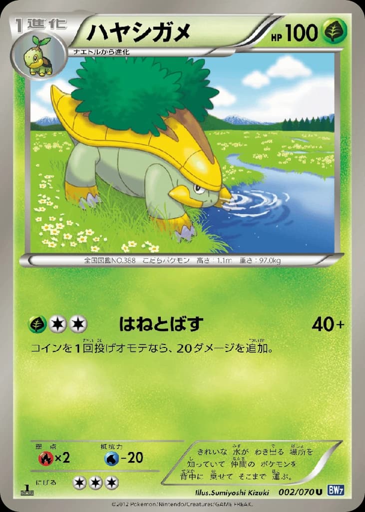 Grotle (2)