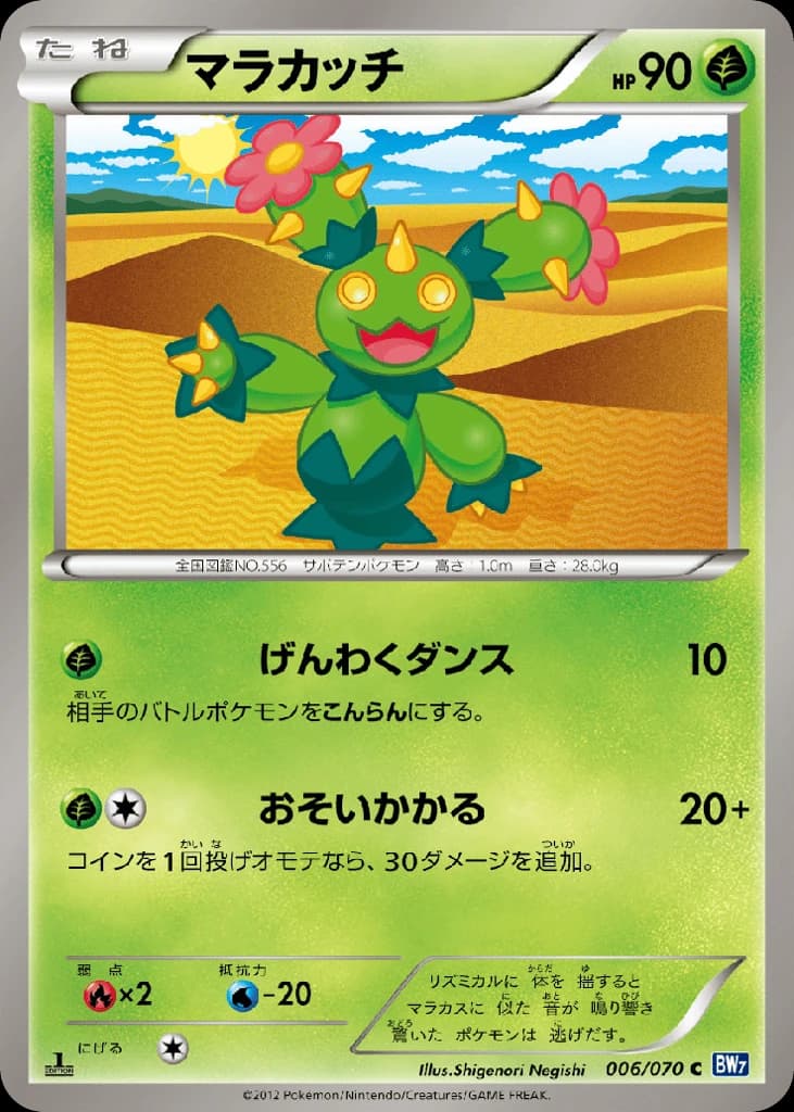 Maractus (6)