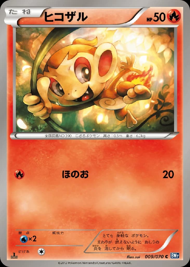 Chimchar (9)