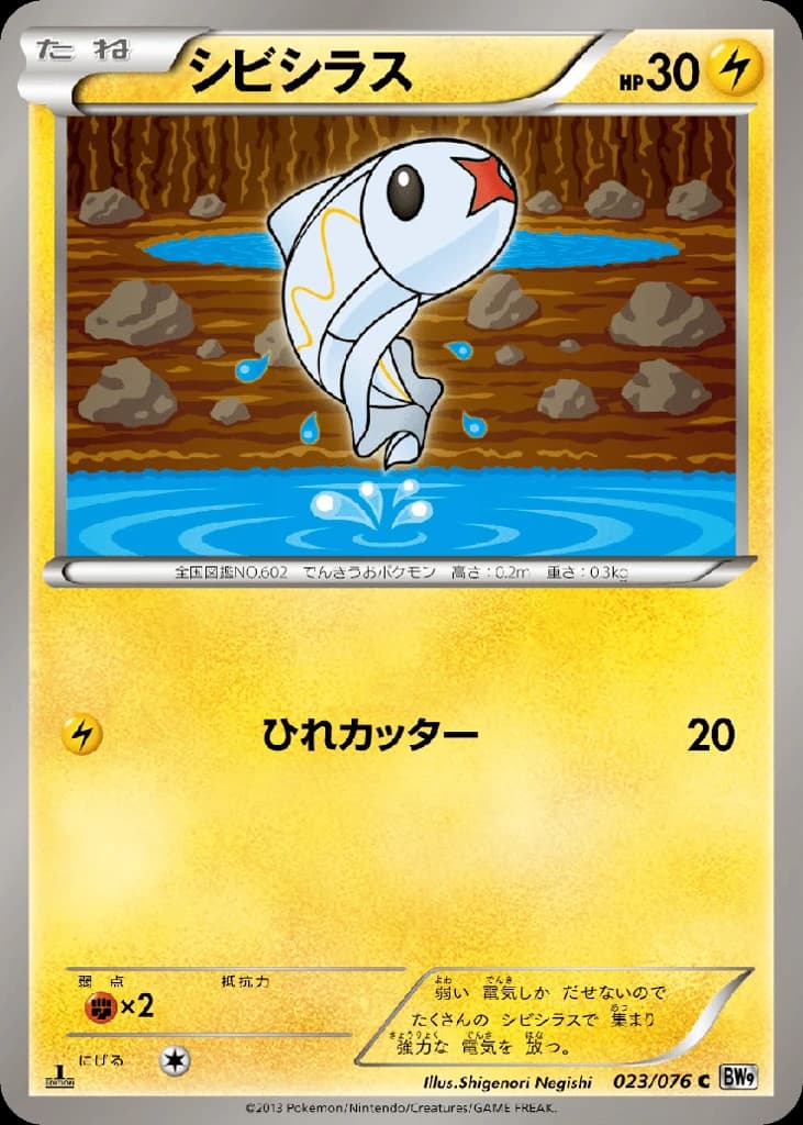Tynamo (23)