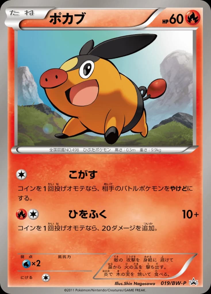 Tepig (19)