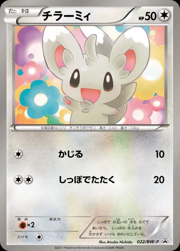 Minccino (22)