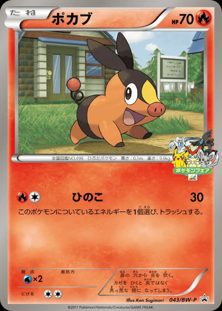 Tepig (43)