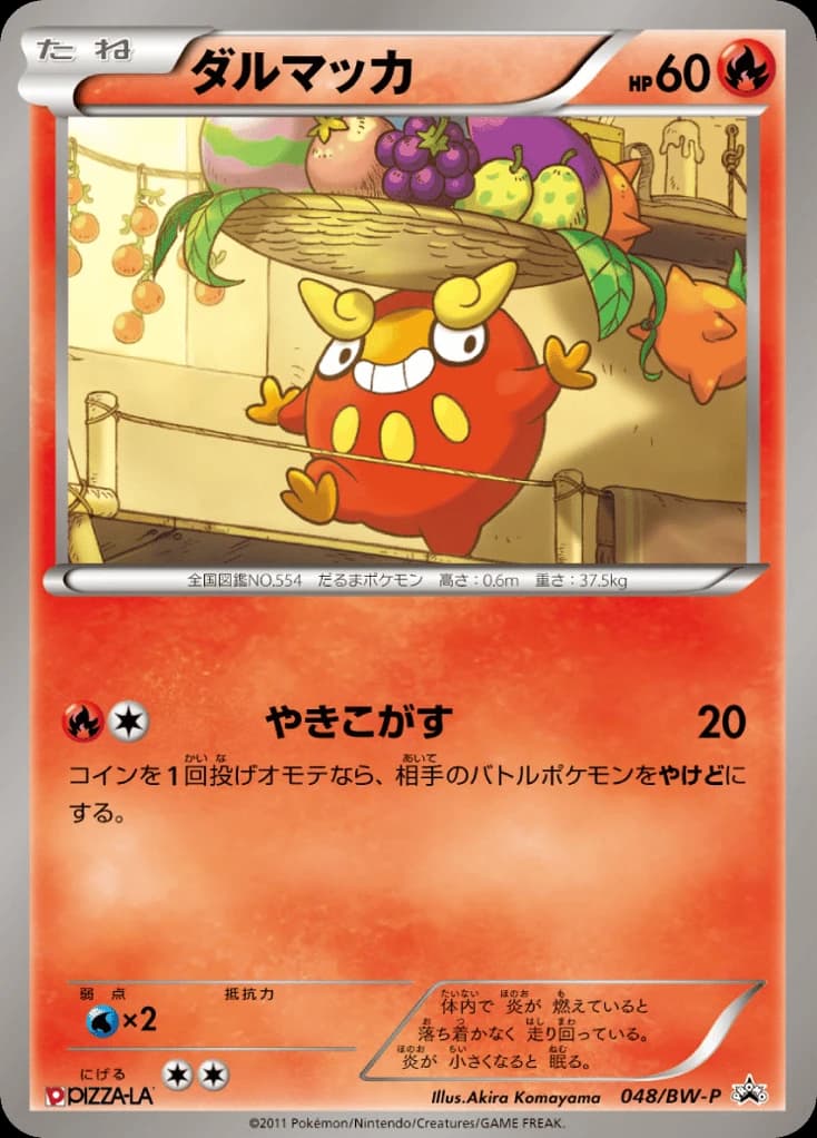 Darumaka (48)