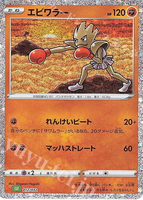 Hitmonchan (12)