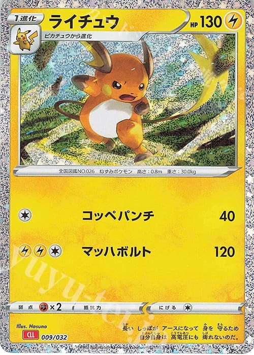 Raichu (9)