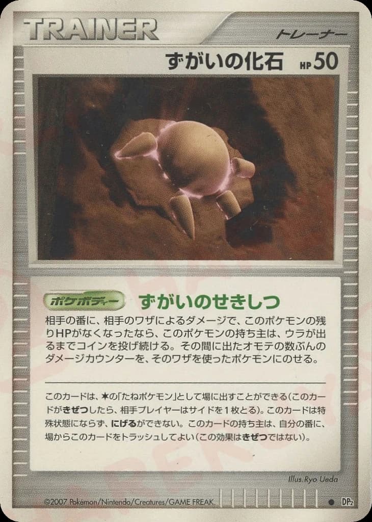 Skull Fossil ()