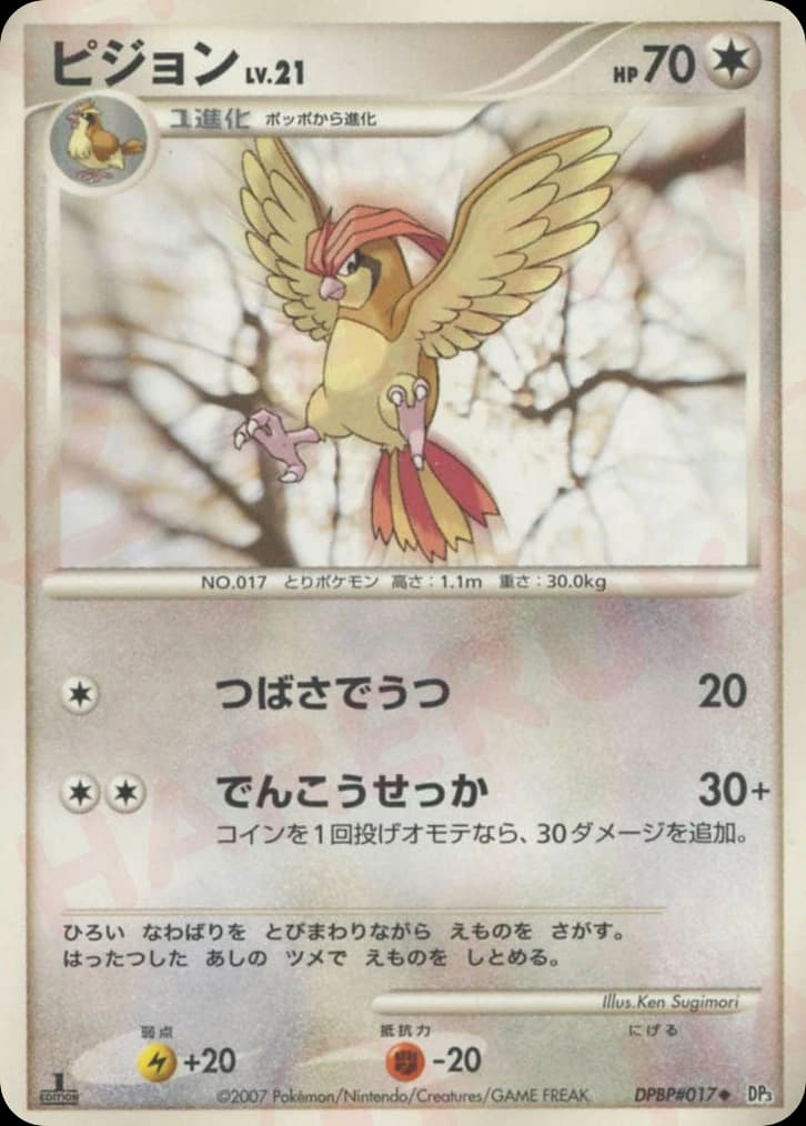 Pidgeotto (17)
