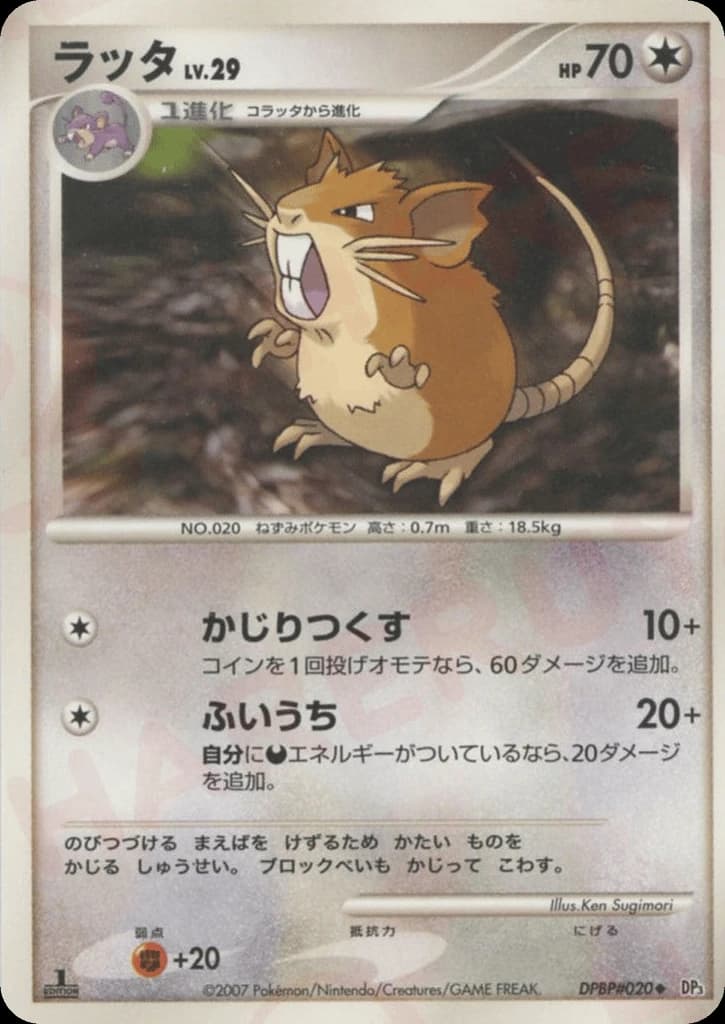 Raticate (20)