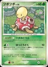 Shuckle (259)
