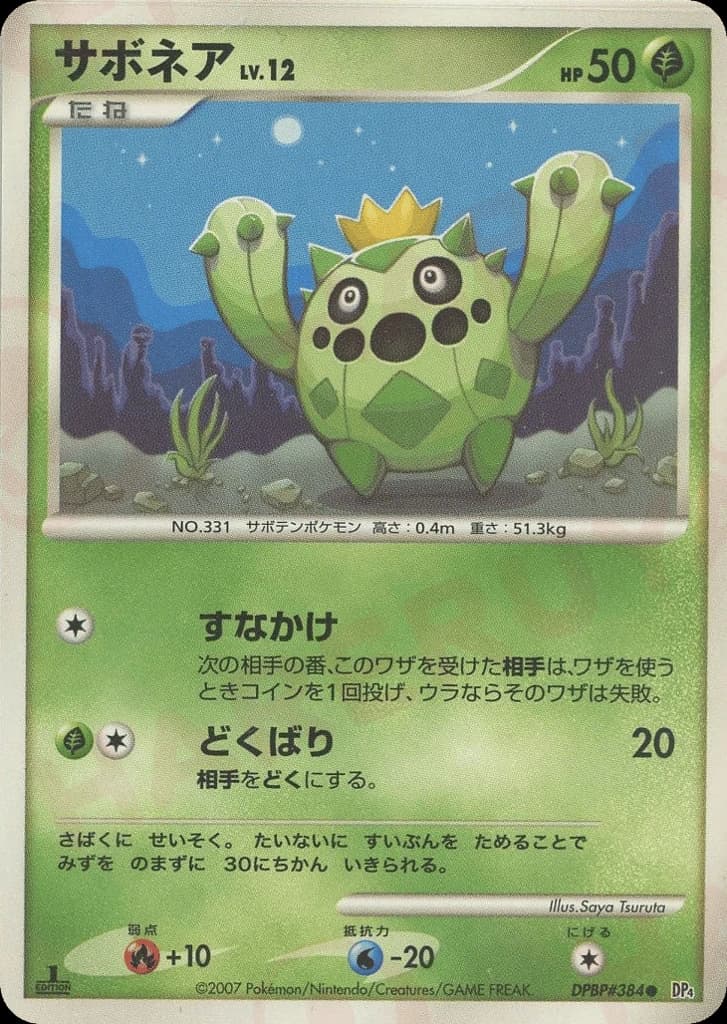 Cacnea (384)