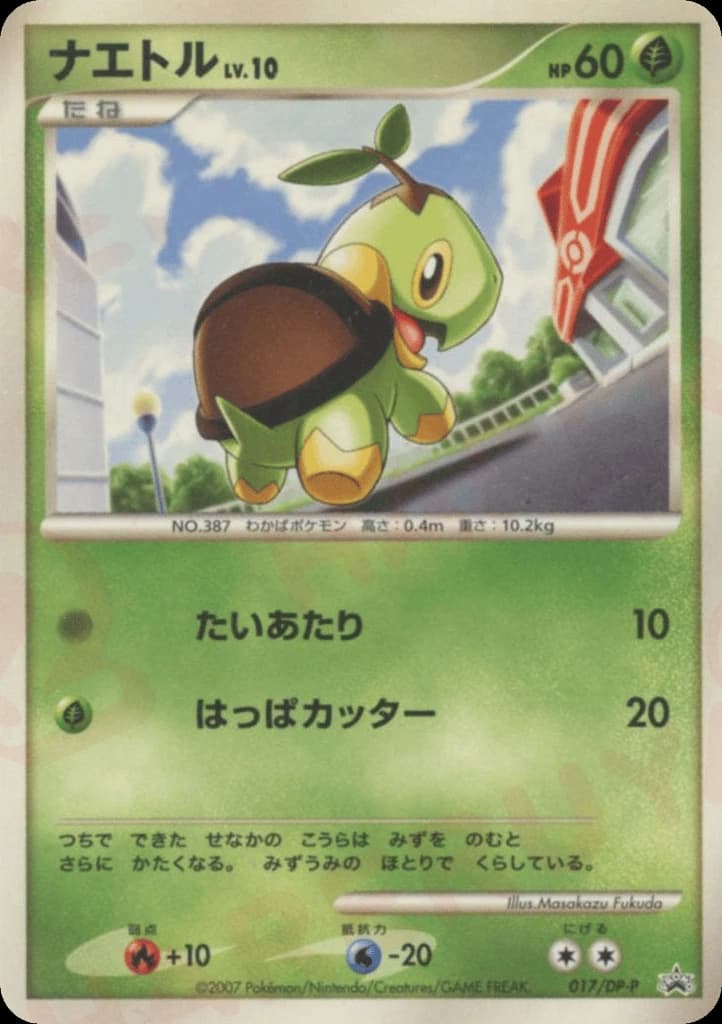 Turtwig (17)