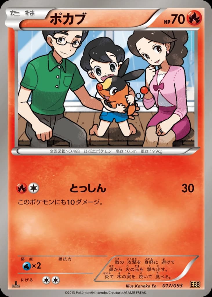 Tepig (17)