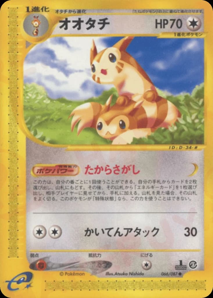Furret (66)