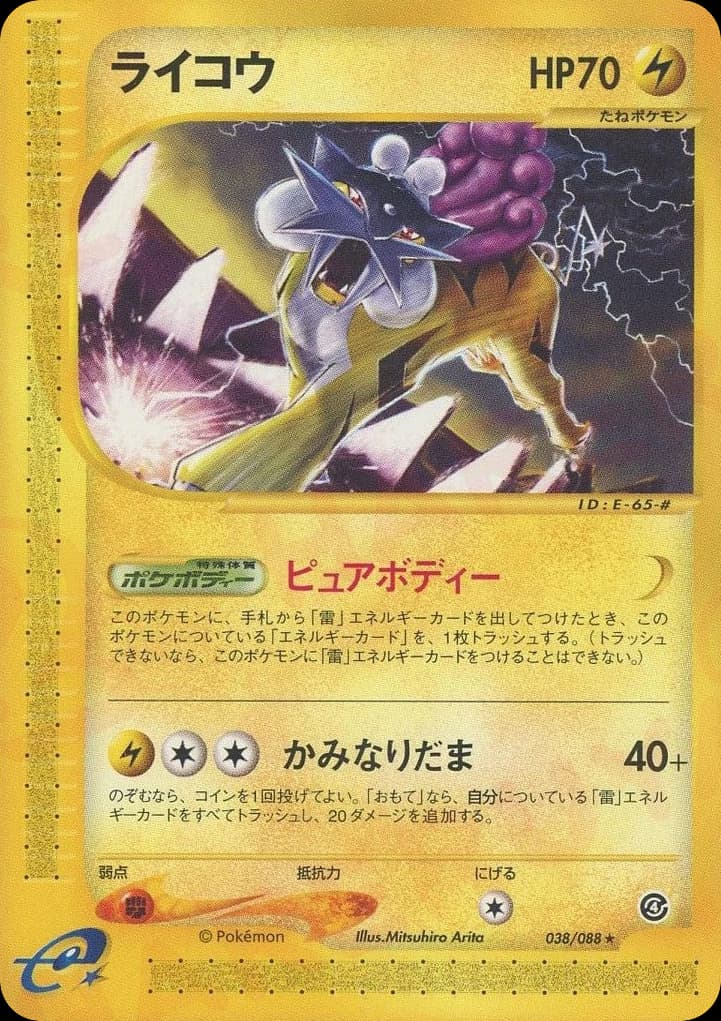 Raikou (38)