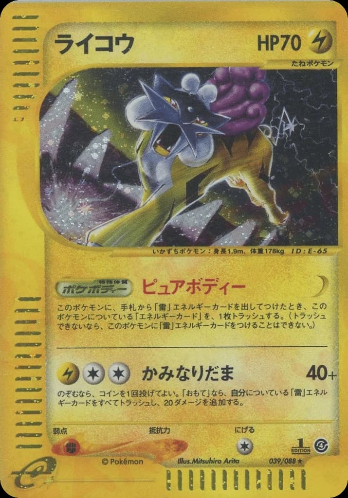 Raikou (39)