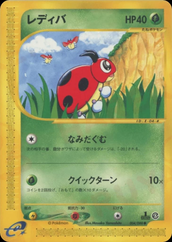 Ledyba (4)