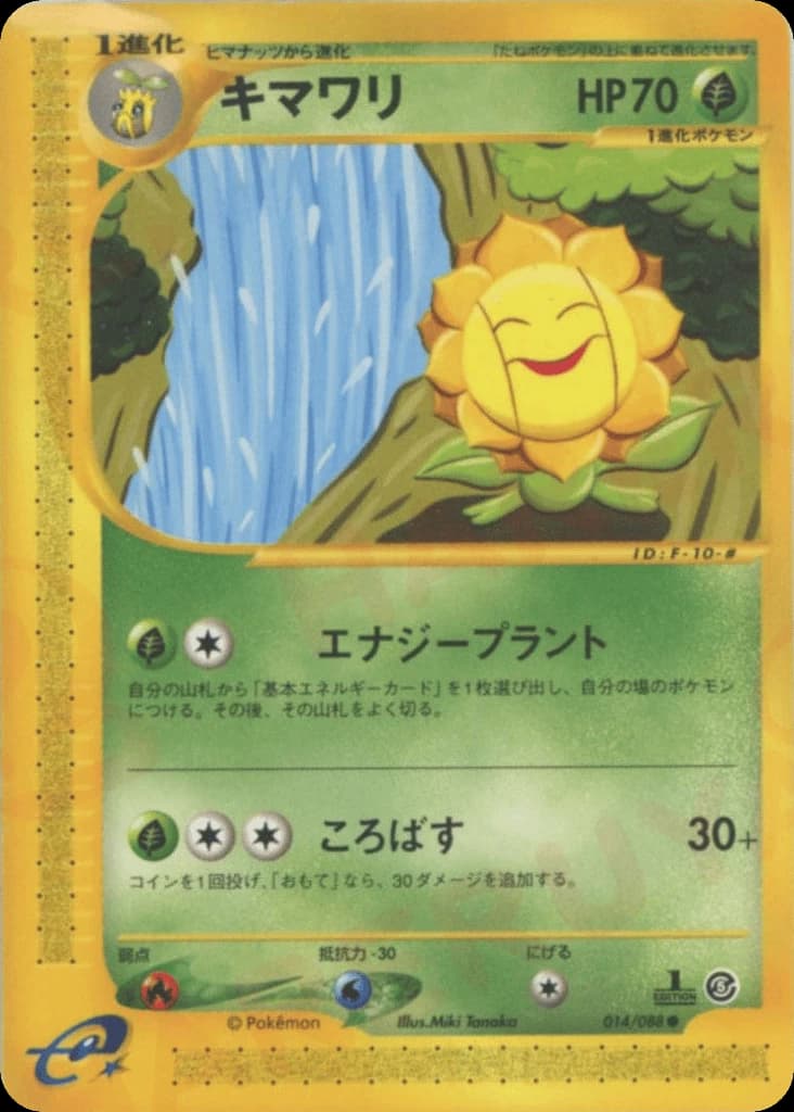 Sunflora (14)