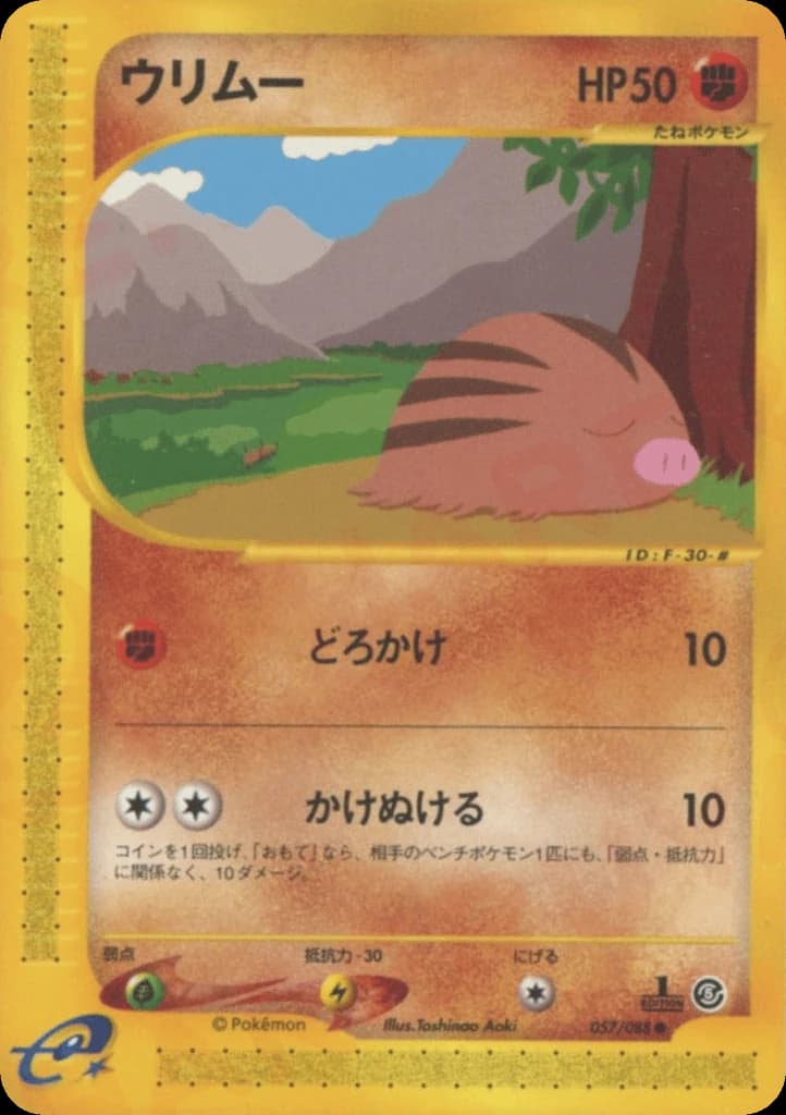 Swinub (57)