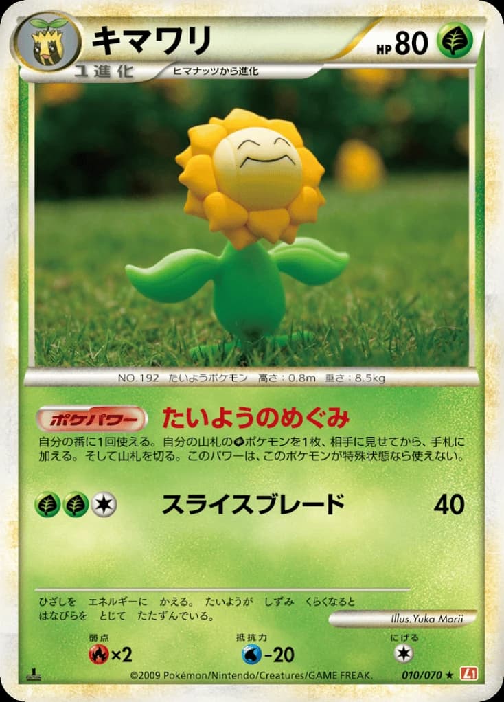 Sunflora (10)