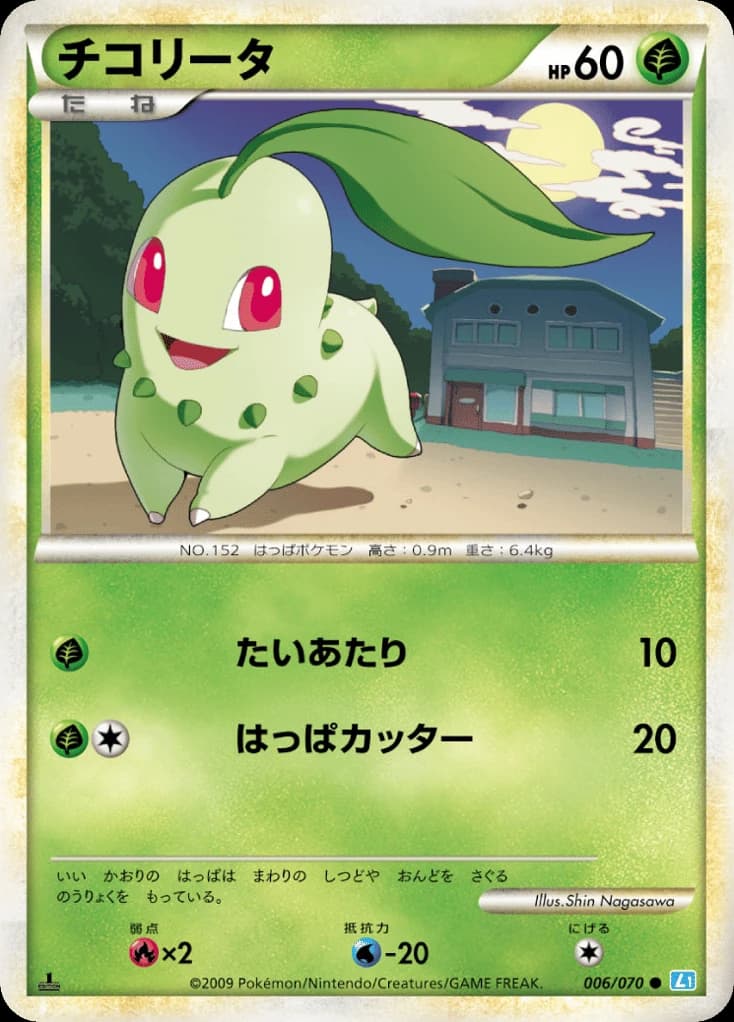 Chikorita (6)