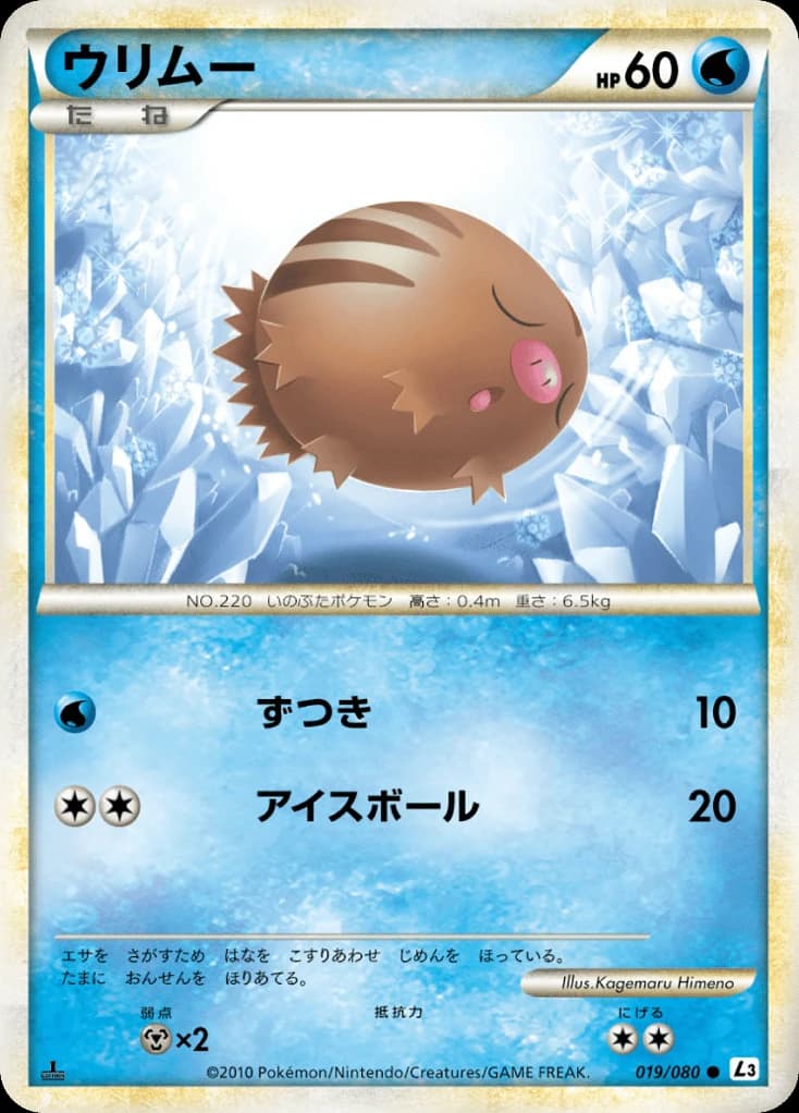 Swinub (19)
