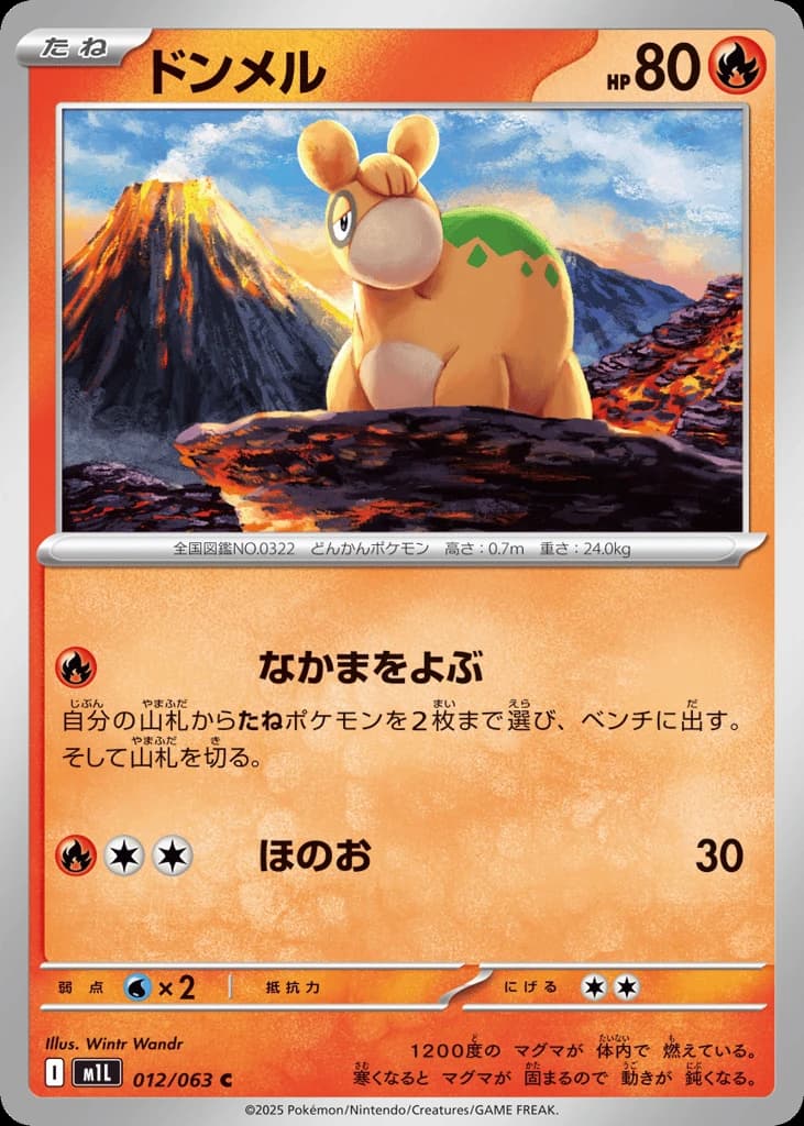 Numel (12)