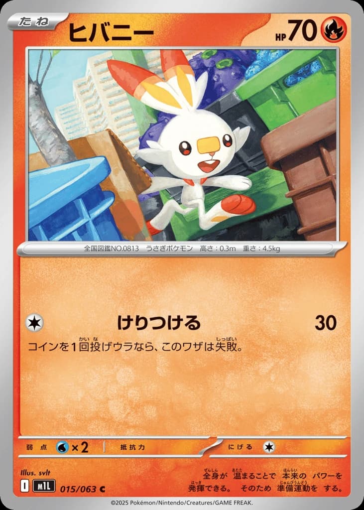 Scorbunny (15)