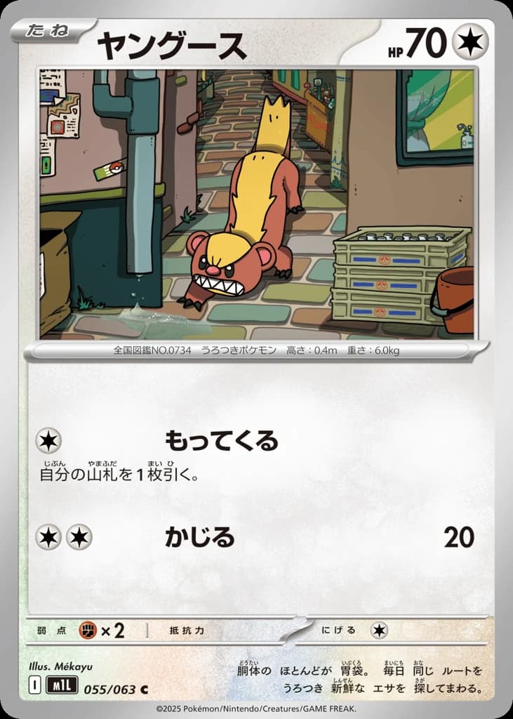 Yungoos (55)