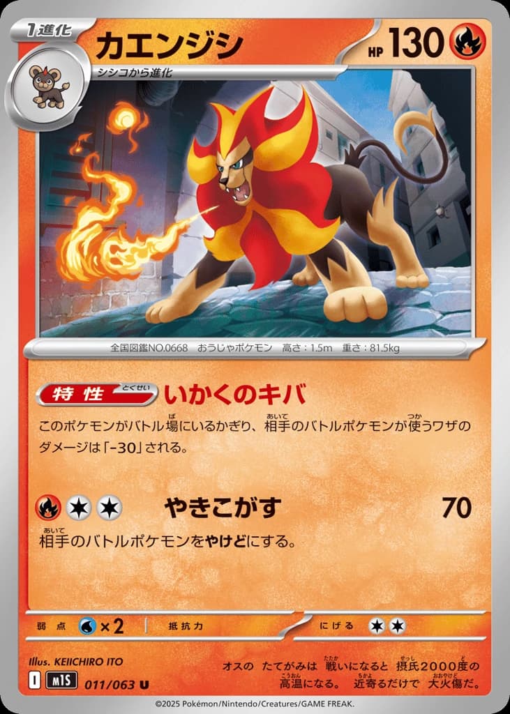 Pyroar (11)