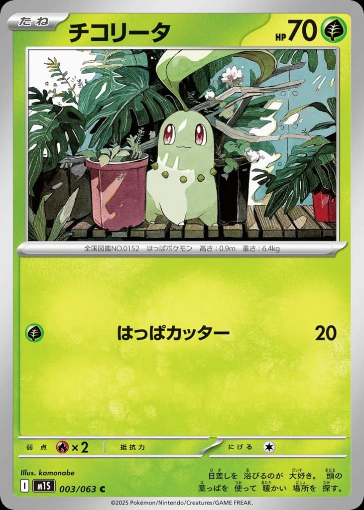 Chikorita (3)