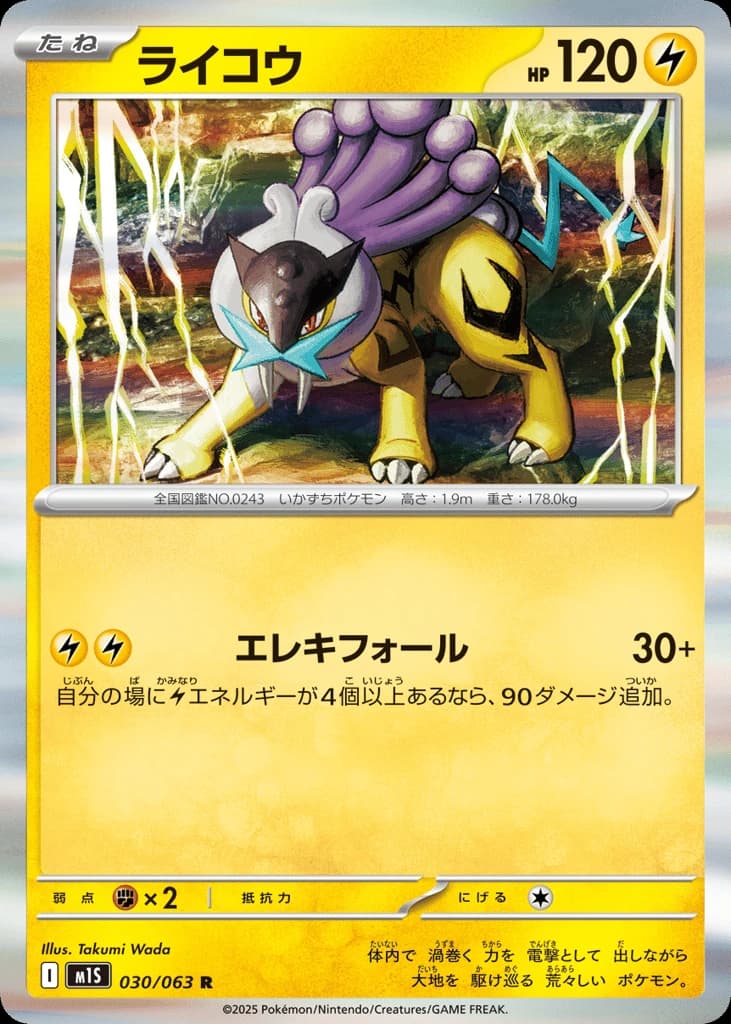 Raikou (30)
