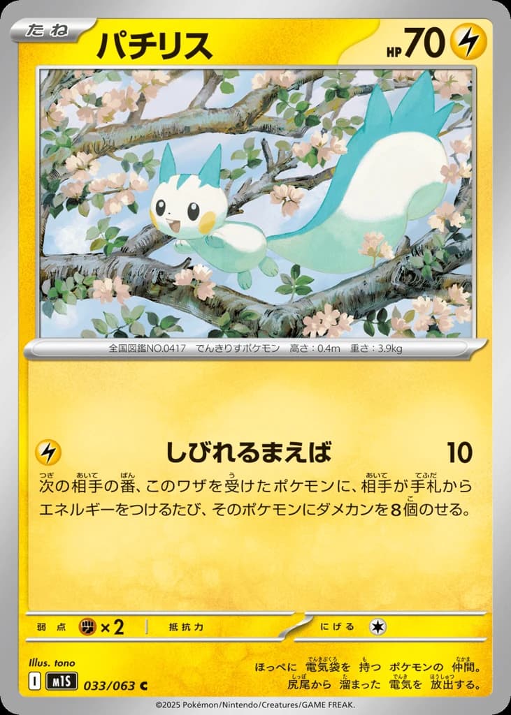 Pachirisu (33)