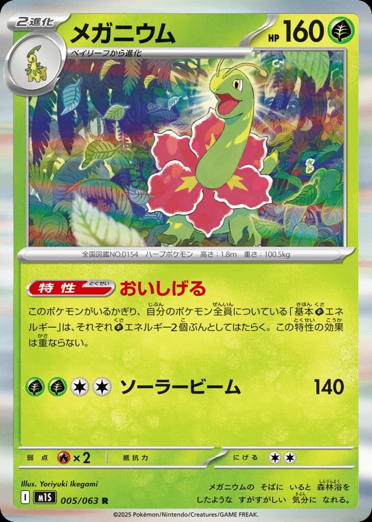 Meganium (5)
